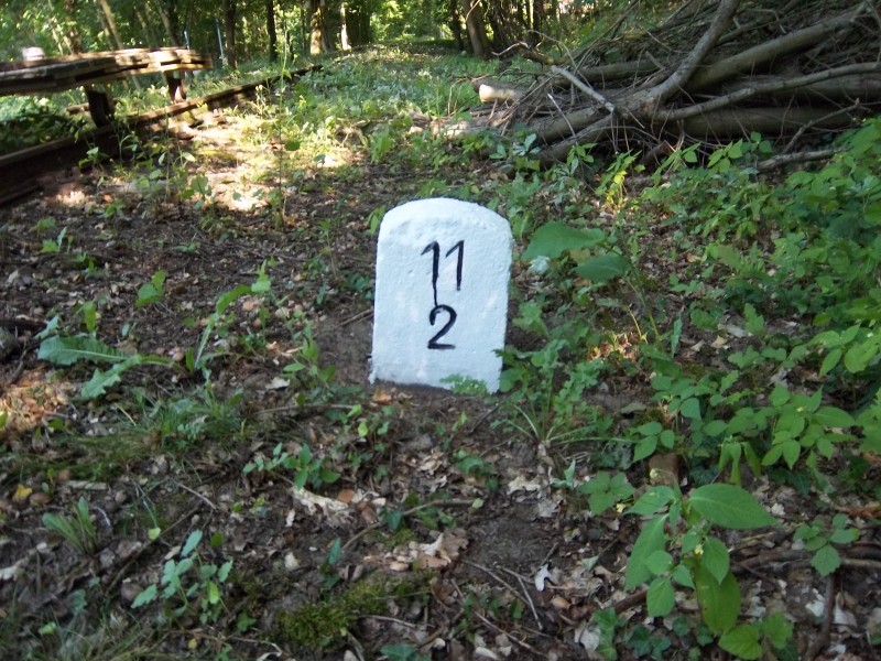 ZWNEGI18